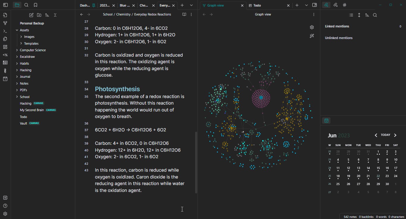Obsidian & its graph view